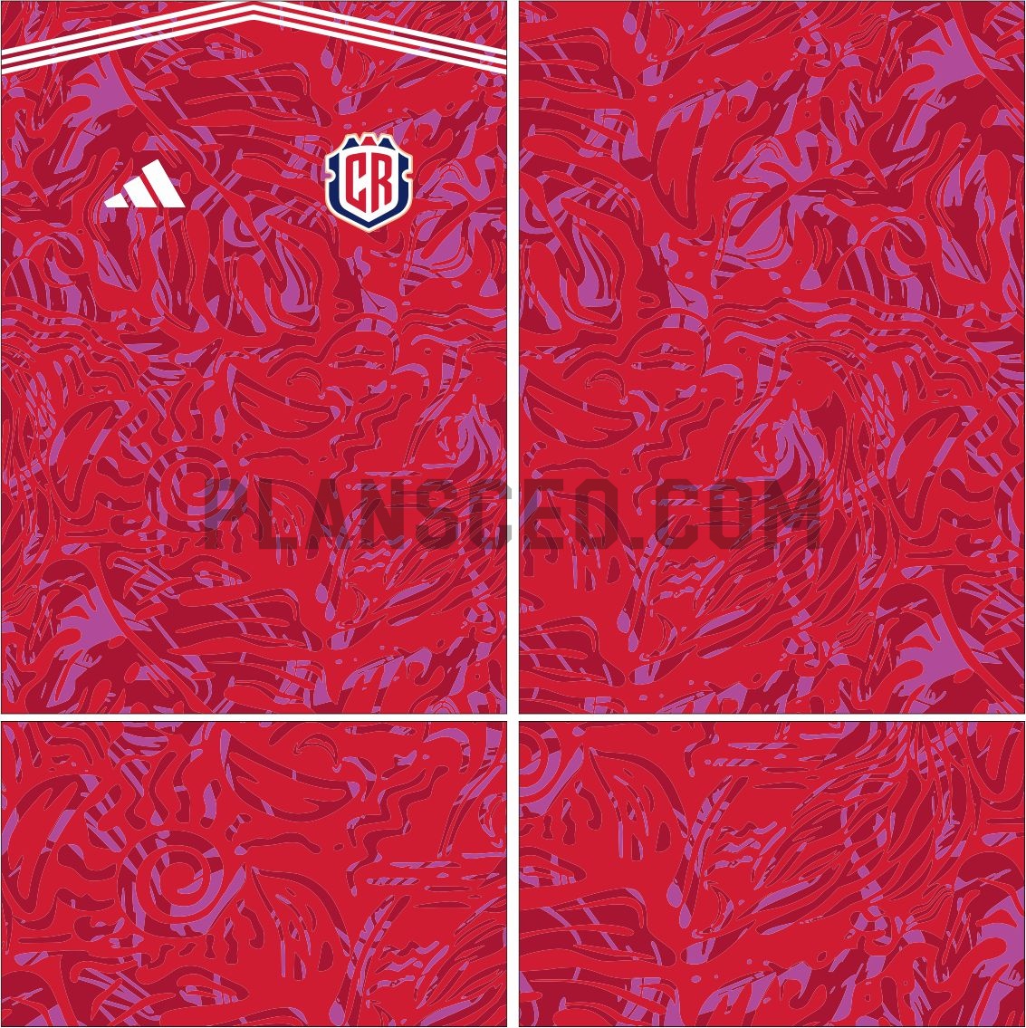 Costa Rica Local World Cup 2026