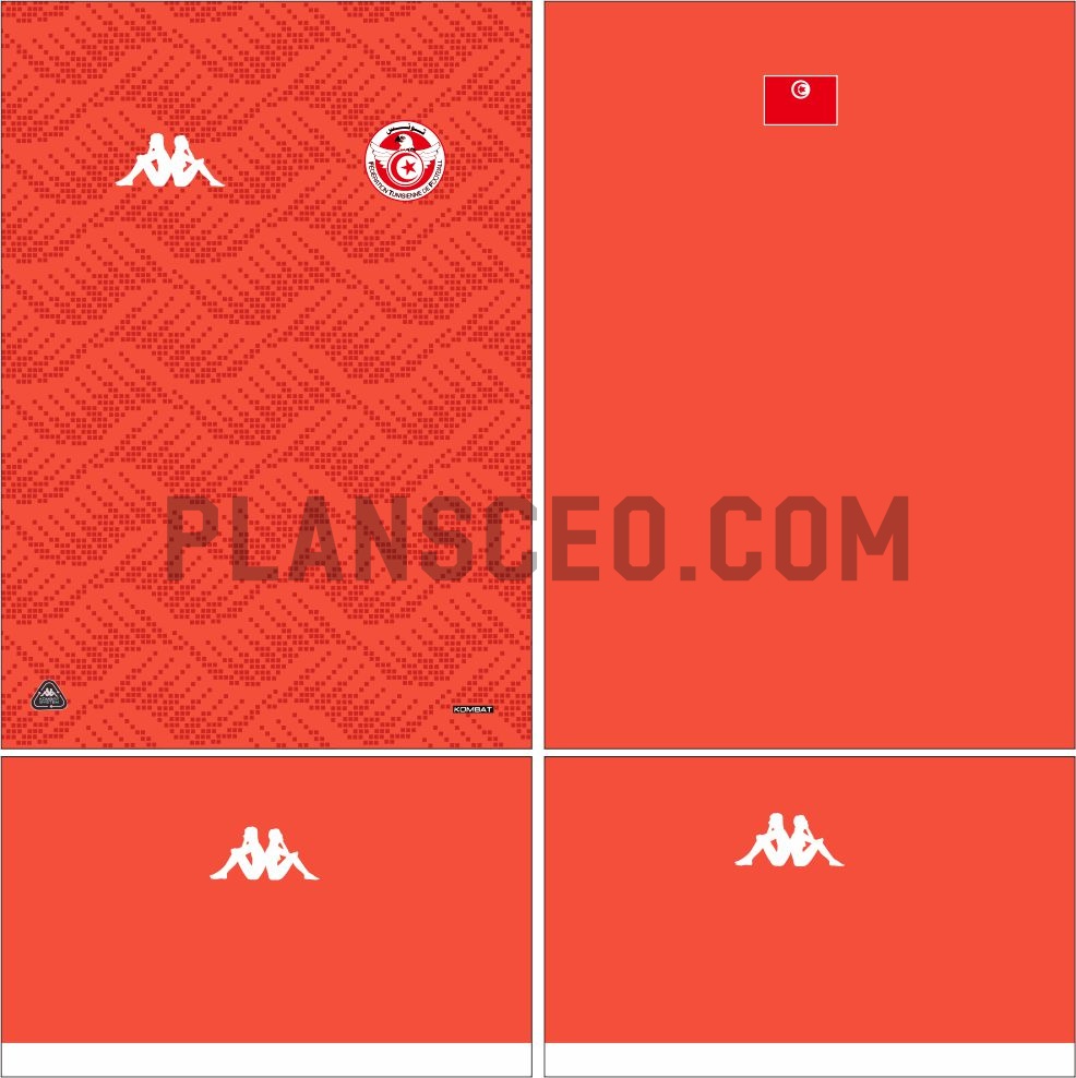 Tunisia 026 突尼斯2026世界杯主场球迷